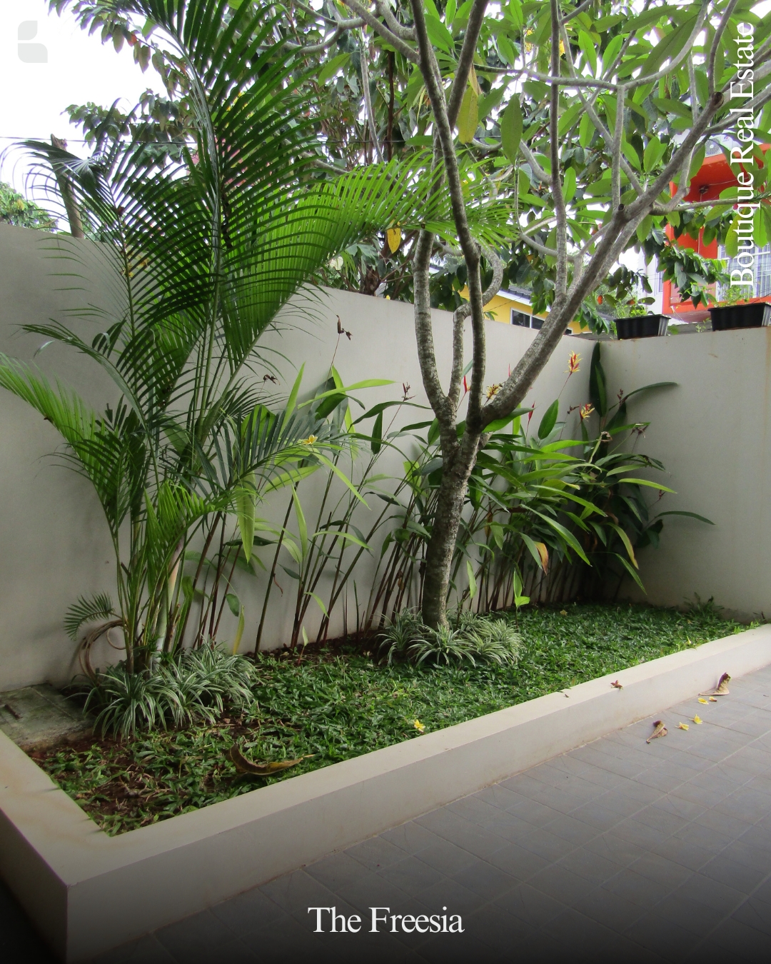 boutique-real-estate-developer-bumihomey-the-freesia-design-mini-garden-rumah-3-lantai-bumi-azurite